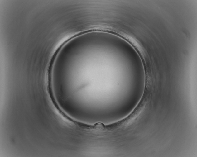 X0000113220999200909101146