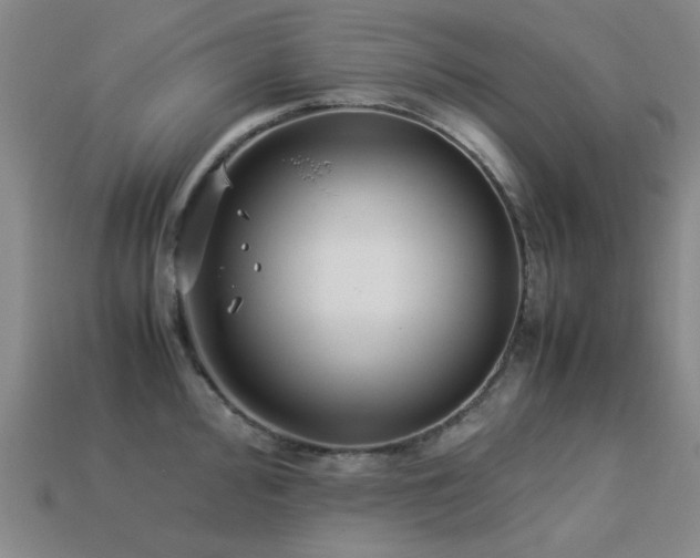 X0000113221000200909101146