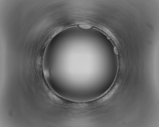 X0000113221001200909101146