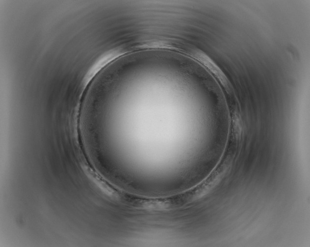 X0000113221002200909101146