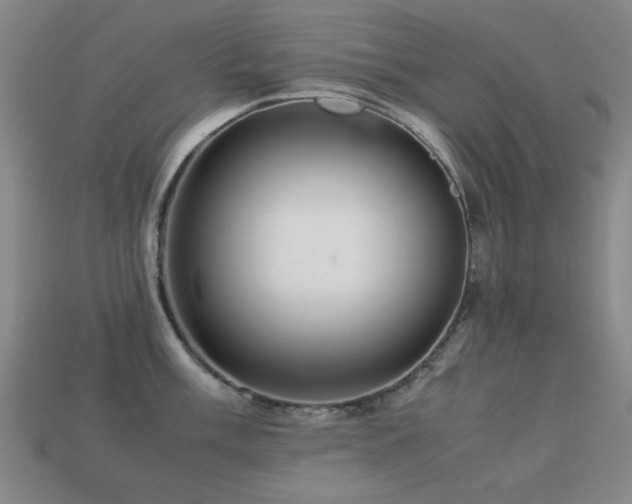 X0000113221003200909101146