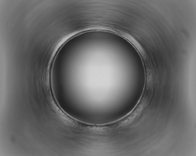 X0000113221004200909101146