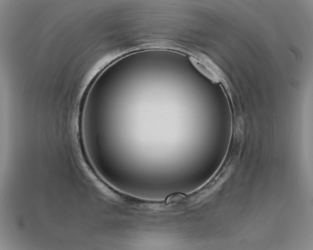 X0000113221005200909101146