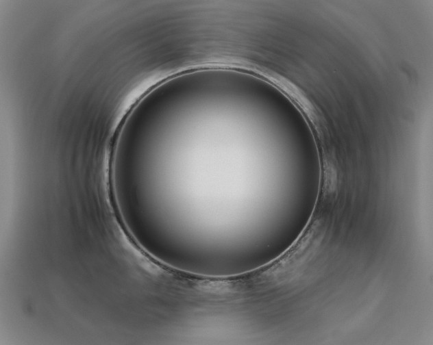 X0000113221006200909101146