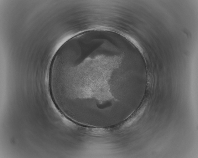 X0000113221007200909101146