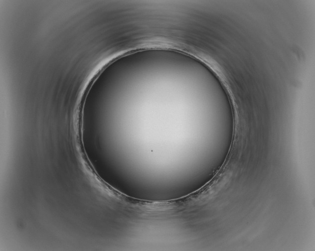 X0000113221008200909101146