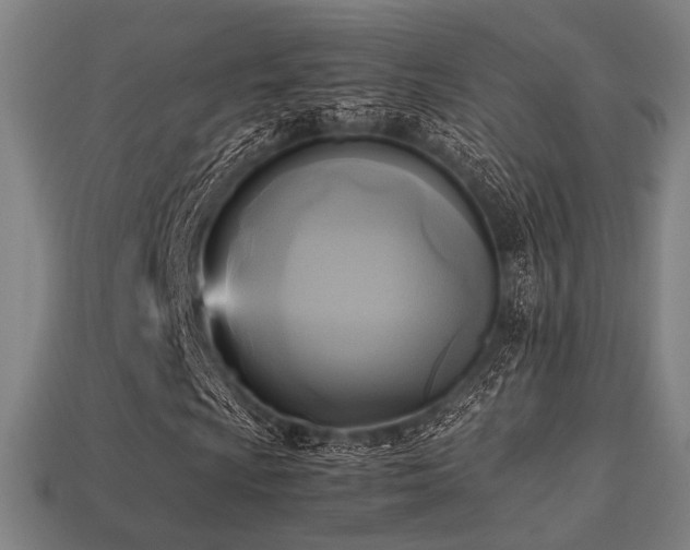 X0000113221009200909101145