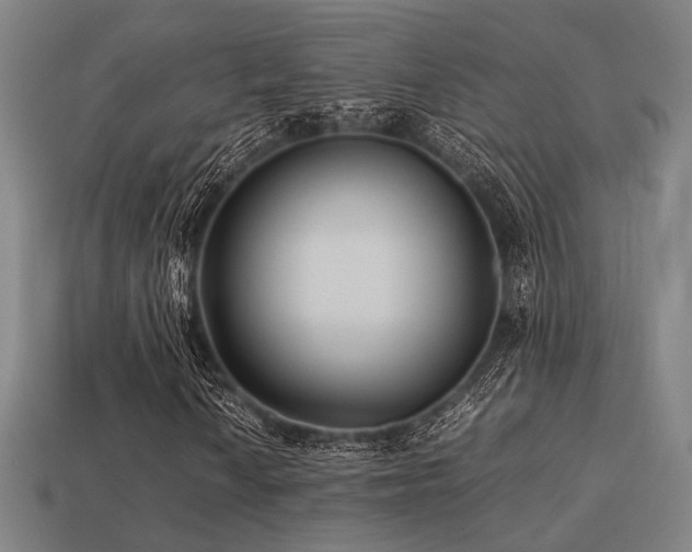 X0000113221010200909101145
