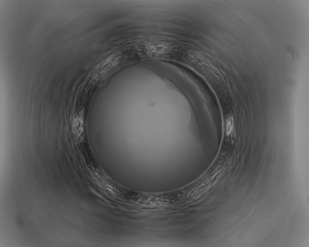 X0000113221011200909101145