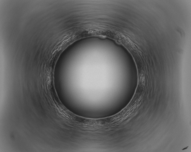 X0000113221012200909101145