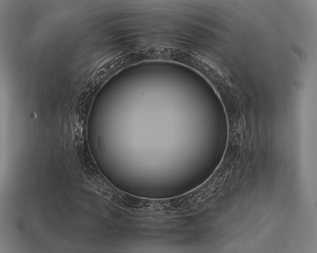 X0000113221013200909101145
