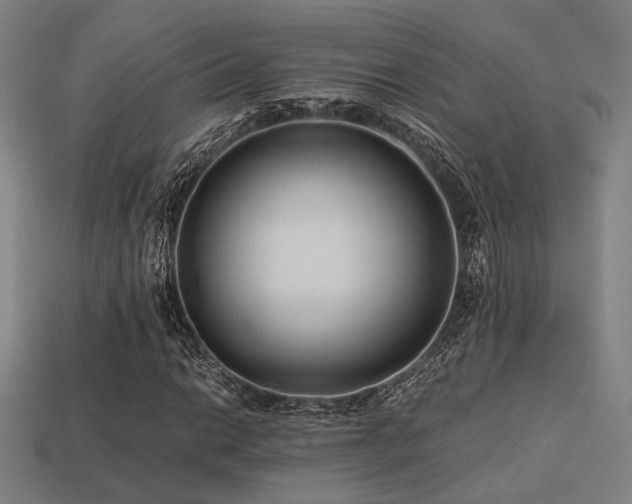 X0000113221014200909101145