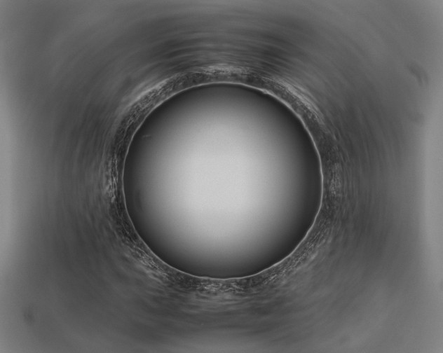 X0000113221015200909101145