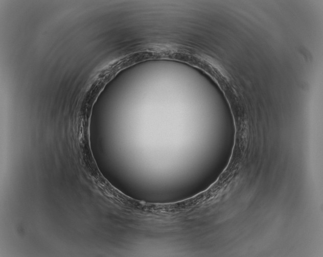 X0000113221016200909101145