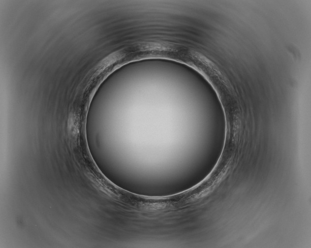 X0000113221017200909101145