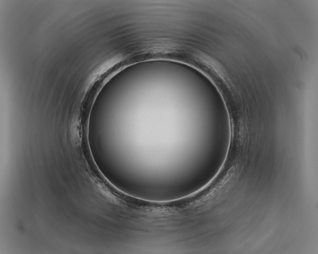 X0000113221018200909101145