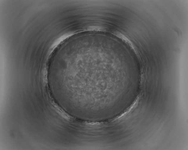 X0000113221019200909101145