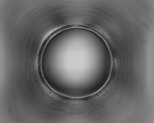 X0000113221020200909101146
