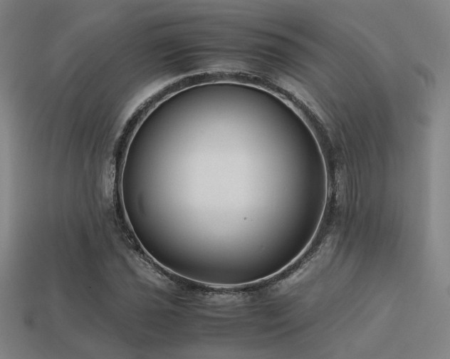 X0000113221021200909101146