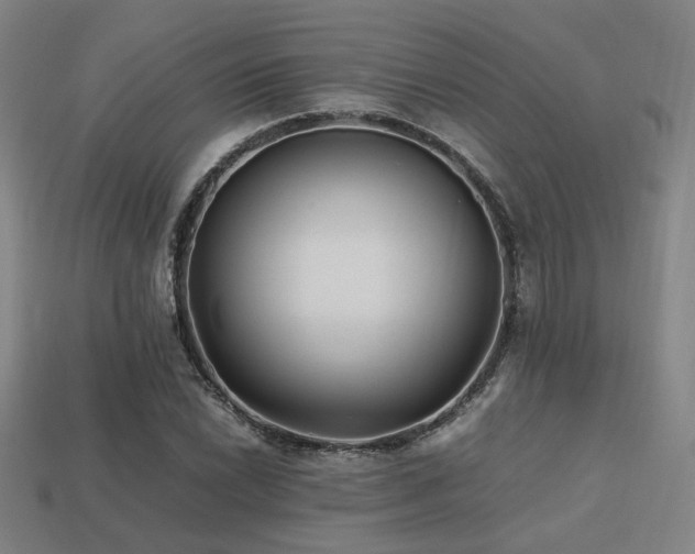 X0000113221022200909101146