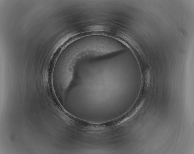 X0000113221023200909101146