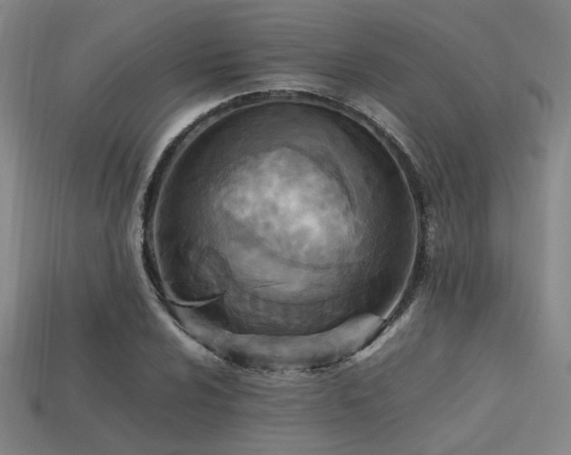 X0000113221024200909101146