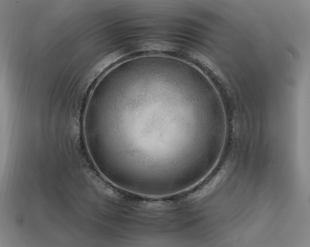 X0000113221025200909101146