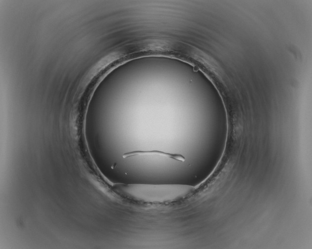 X0000113221026200909101146