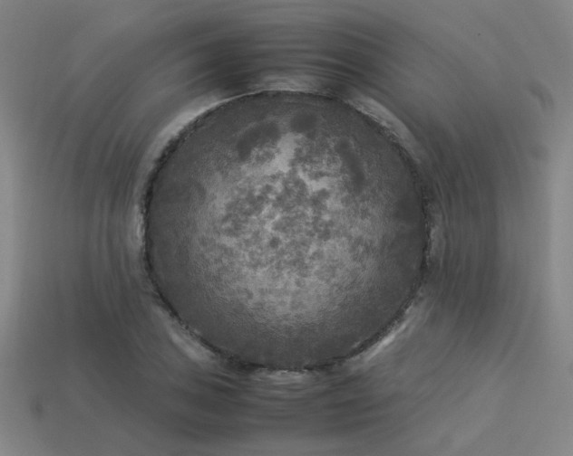 X0000113221027200909101146