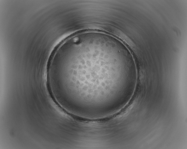 X0000113221028200909101146