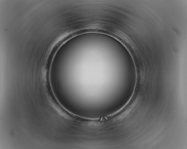 X0000113221029200909101146