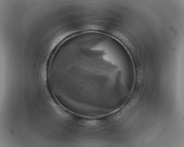 X0000113221031200909101146