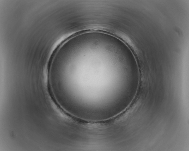 X0000113221032200909101146
