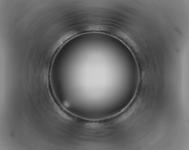 X0000113221033200909101146