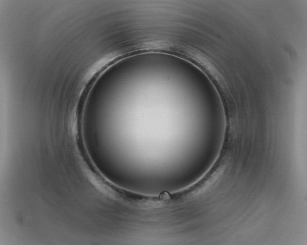 X0000113221034200909101146