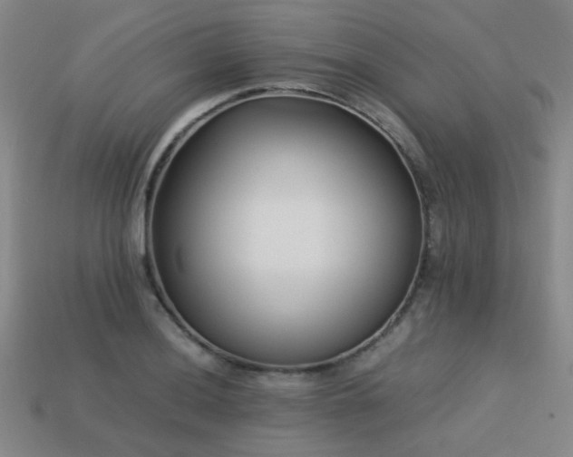 X0000113221036200909101146