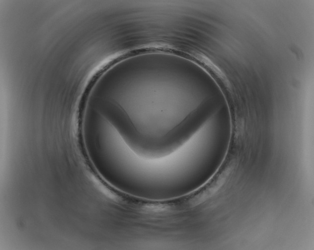 X0000113221037200909101146