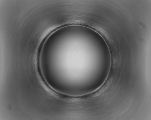 X0000113221038200909101146