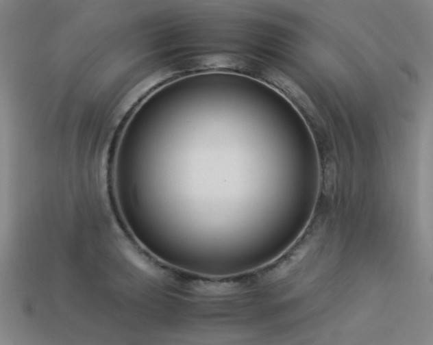 X0000113221039200909101146
