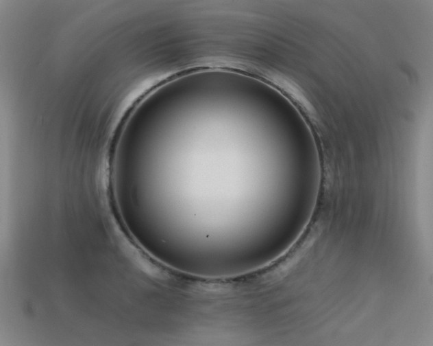 X0000113221040200909101146