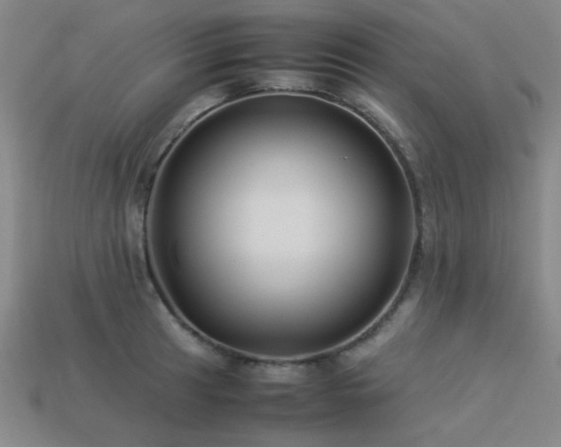 X0000113221041200909101146