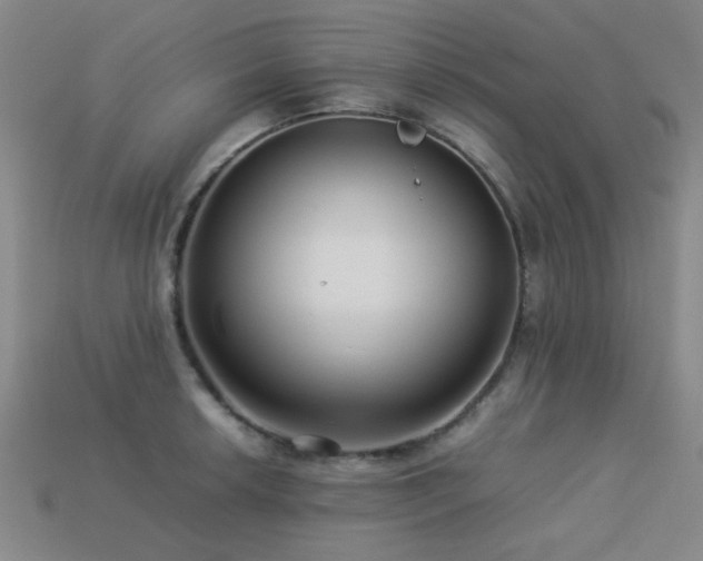 X0000113221042200909101146