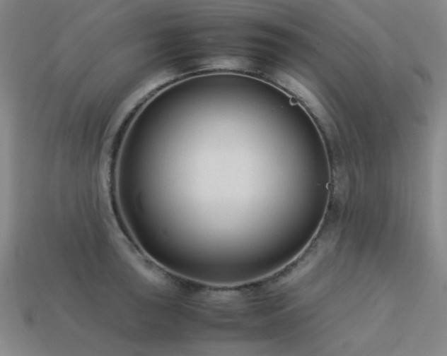 X0000113221043200909101146