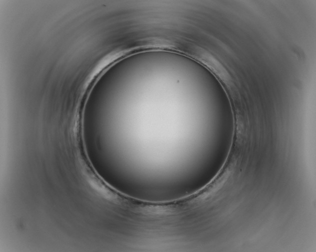 X0000113221044200909101146