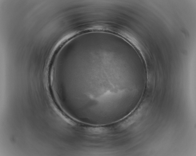 X0000113221045200909101146