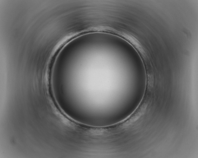 X0000113221046200909101146