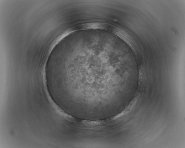 X0000113221047200909101146
