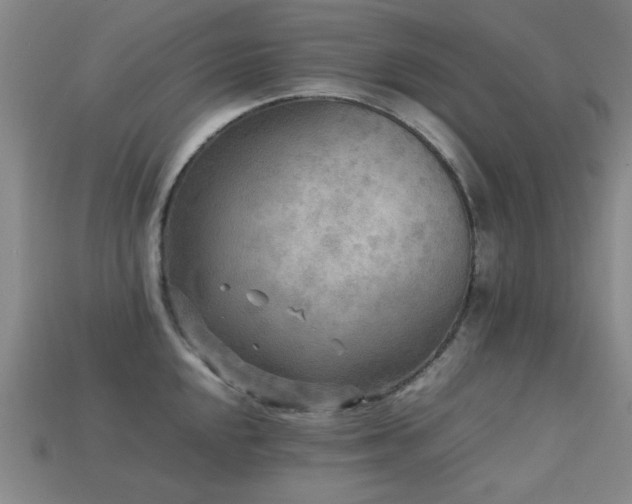 X0000113221048200909101146