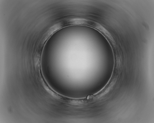 X0000113221049200909101146