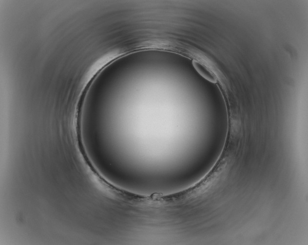 X0000113221050200909101146